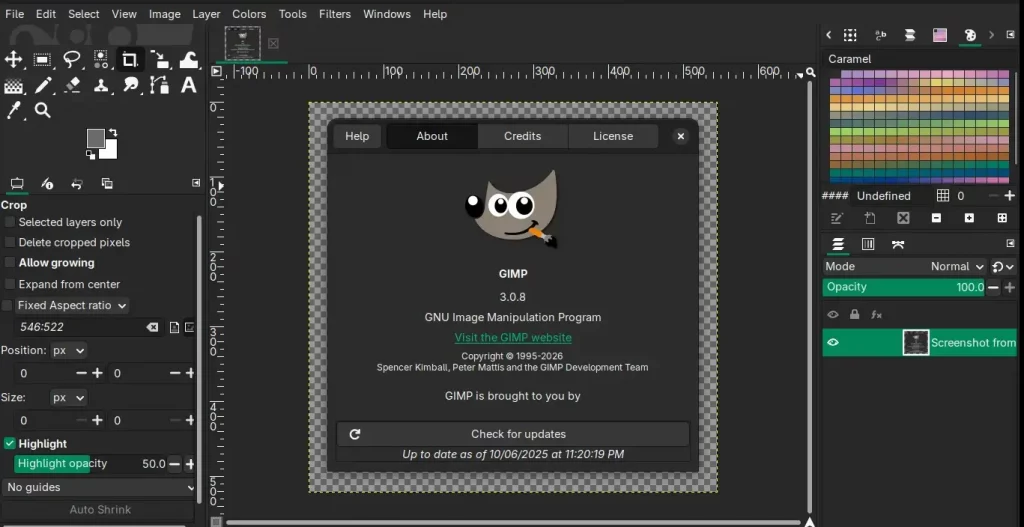 GIMP 3.0.8 veröffentlicht: Performance-Boost, mehr Sicherheit und letzte Version vor GIMP 3.2 2 GIMP 3.0.8