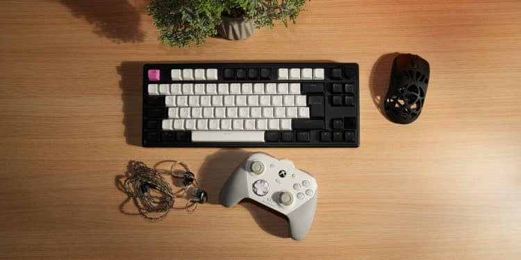 Gaming-Peripherie kaufen: Was du dir merken solltest