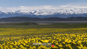 Insta360 Luna Ultra: Neue Gimbal-Kamera mit Leica-Optik und 8K-Aufnahmen vorgestellt 9 Insta360 Luna Ultra